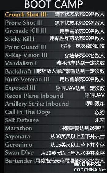 使命召唤5