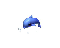 海豚-攻击2(2).gif