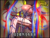 【苹果动新闻】车震不是你想玩,想玩就能玩。