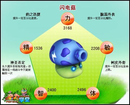 "闪电菇"的身家档案