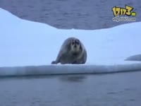 【芝麻海豹字幕组】苍井空裸のKiss PV中字_