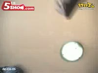 <em>Mc-hotdog-我爱台妹</em> 现场版_17173游戏视频