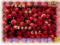 爱不在就放手 踏歌广场舞2 第三曲-游戏视频 推