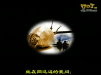 漠 杨小曼 伤感2010_视频专辑:爱无悔 伤无悔 
