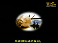 漠 杨小曼 伤感2010_视频专辑:爱无悔 伤无悔