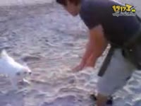 热门 杨幂的<em>衣服</em>被<em>扒光</em>强奸,杨幂的腾讯官方q