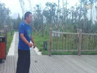 看点:金刚狼大战铁血战士_17173游戏视频