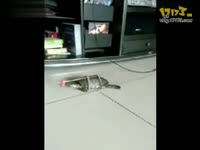 技术<em>宅</em>!UP主教你撸一个御坂妹妹的护目镜_<em>17</em>