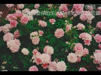 视频专辑 CF北方大区闹鬼-cf夏佐_17173游戏