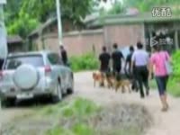 最新片段 青年酒后强奸60岁老太致死-游戏_17