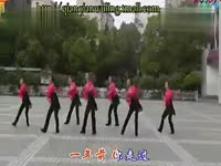 高安子君广场舞 红山果分解动作20130909-健