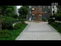 蓝天观赏鸽论坛_17173游戏视频