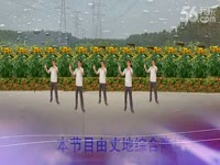 热点直击 丈地广场舞 军中绿花 30步-丈地广场