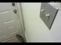 暑假自制电磁炮(轨道炮).尽量高清_17173游戏