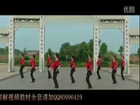 袁哲-姑娘<em>想嫁人</em>(DJ版)DVD_17173游戏视频