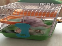 花絮 红薯能减肥吗 36步自由舞-红薯能减_171