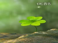 整人大赏2012 桃色幸运草_17173游戏视频