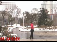 高清片段 清雅广场舞 酒醉的恰恰-排舞_17173