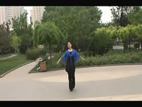 高清片段 清雅广场舞 酒醉的恰恰-排舞_17173