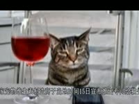 专供猫喝的葡萄酒惊现日本