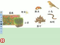 高清热播 微课程王<em>亚妹</em>:科学-食物链_兼容格式