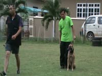 日本美女-<em>吉尺明步</em>【<em>秘密</em>女搜查官】-游戏视频