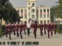 素菊广场舞 都是缘分惹的祸-游戏 精华_17173