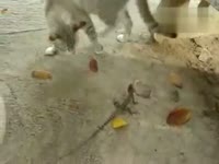 精彩花絮 李宗瑞家中强.<em>奸按摩女</em> 女方奋力反抗