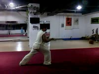 八极拳之梨花枪-八极拳 精彩片段_17173游戏视