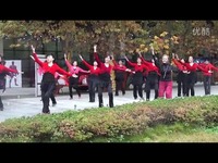 韩红 - 青藏高原 - 伴奏-游戏视频 免费视频_171