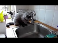 《洗脚水没烧》恶搞圣斗士星矢MV_17173游戏