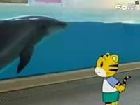 巧虎乐园之大千世界 聪明的海豚 幼儿早教视频