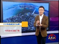 热门视频 武汉一台每天17:40《直播大武汉》之