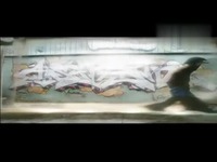 免费 曳舞天下 第二届曳舞大赛参赛视频 刺青-