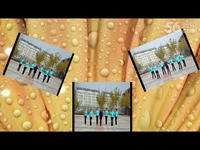 16步美了美了-梅杰广场舞 精彩片段_17173游