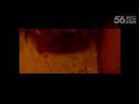 动物世界<em>性行为</em> 荷兰<em>猪</em>激情<em>交配</em>实录☆。-游戏