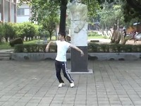 廖弟广场舞-军中绿花-健身舞 热推视频_17173