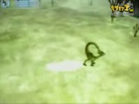 孢子2_17173游戏播客_17173网络游戏视频第