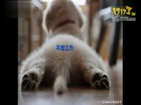 如果男人来月经_17173游戏播客_17173网络游