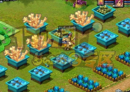 种植什么收益快_油茶树种植1亩收益多少_梦幻西游种植收益