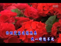甜蜜蜜-解晓东范晓萱对唱版纯伴奏-卡拉ok 热门