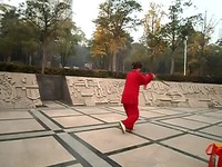 热播 王兰珍照片32太极剑望星空2013.12.17-伴