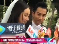 视频短片 杨幂刘恺威婚礼采访:生宝宝顺其自然