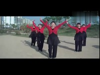 广场舞 32步分解动作教学-广场舞视频 推荐视频