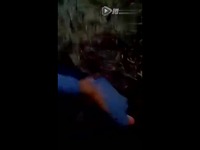 完整版预告片 狗狗兽性大发欲<em>强暴美女</em>-狗狗_