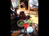 电脑酷狗放歌突然无声音游戏也没声音,YY放歌