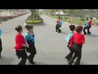 广场舞 双人舞 阿拉妹子下扬州-游戏视频 超清