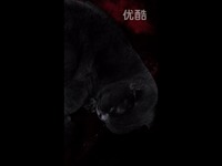 免费视频 躲躲打呼撸!-Android_17173游戏视频