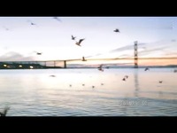 高清专辑 周杰伦Jay-明明就MV(超清HD完整版