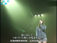 Love The Way You <em>Lie</em> 第53届格莱美现场版中